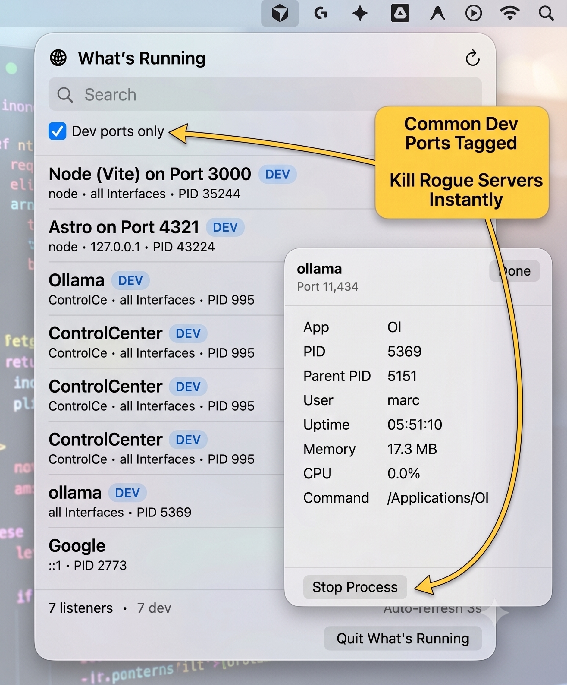 Modern, annotated illustration of the What's Running app panel, highlighting key features and common dev ports